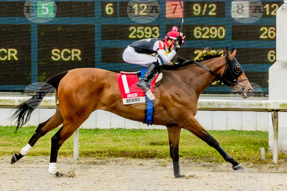 Delta Downs Horse Racing