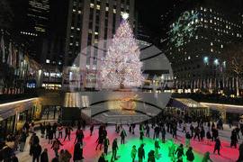 New York Daily Life Holiday Lights