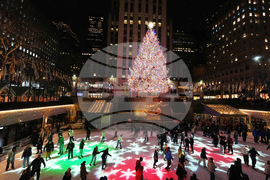 New York Daily Life Holiday Lights