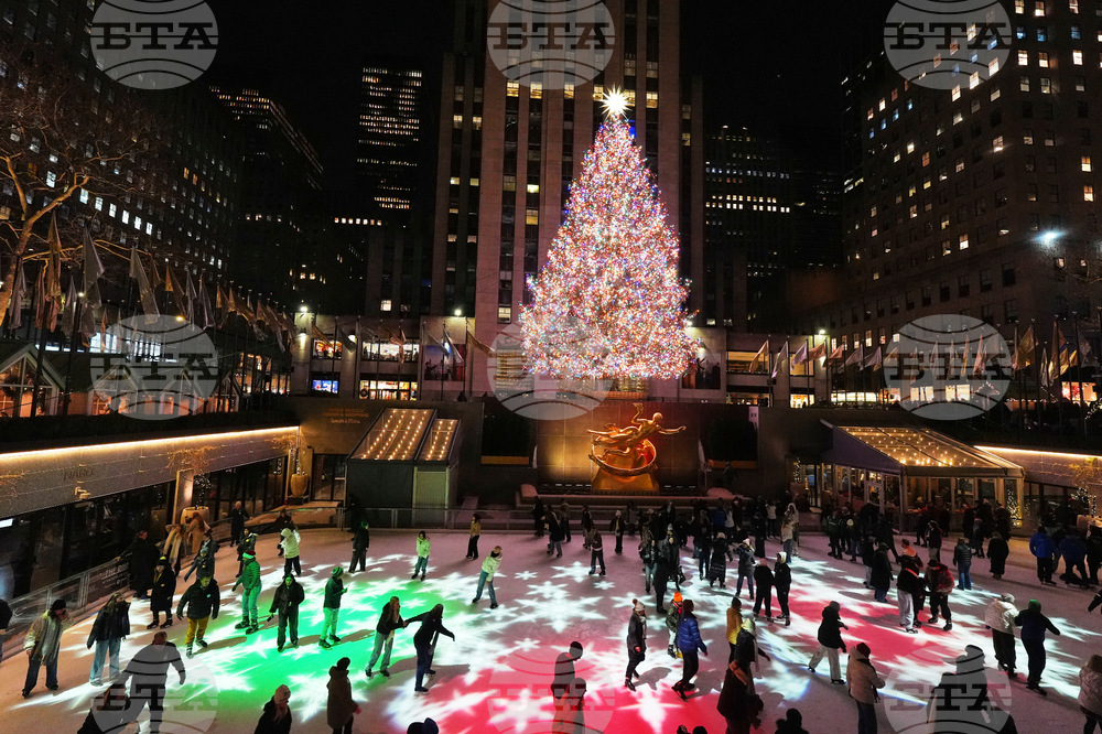 New York Daily Life Holiday Lights