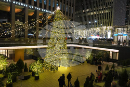 New York Daily Life Holiday Lights