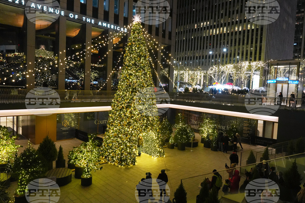 New York Daily Life Holiday Lights