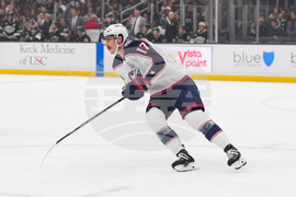 Blue Jackets Kings Hockey