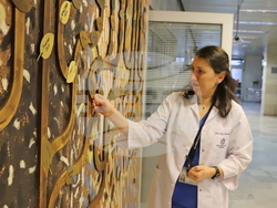 Снимка: Военномедицинска академия