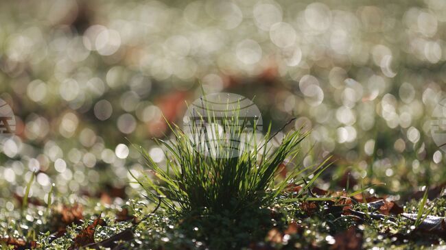 Прогноза за времето