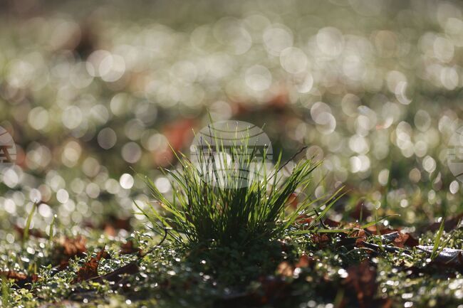 Прогноза за времето