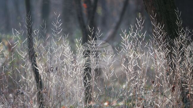 Прогноза за времето