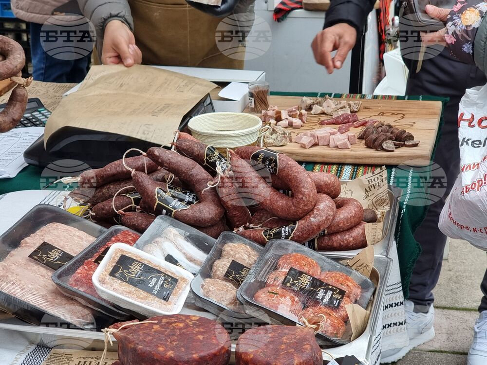 Ямбол - Коледно изложение