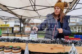 Ямбол - Коледно изложение