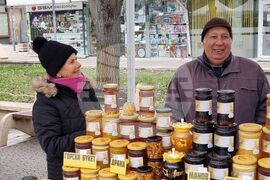 Ямбол - Коледно изложение