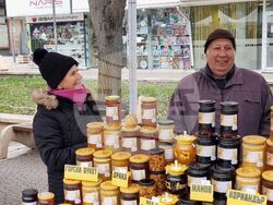 Ямбол - Коледно изложение