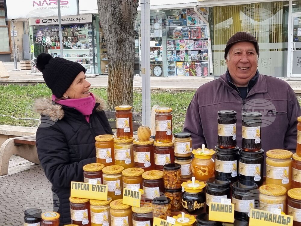 Ямбол - Коледно изложение