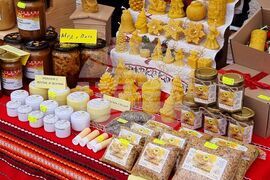 Ямбол - Коледно изложение