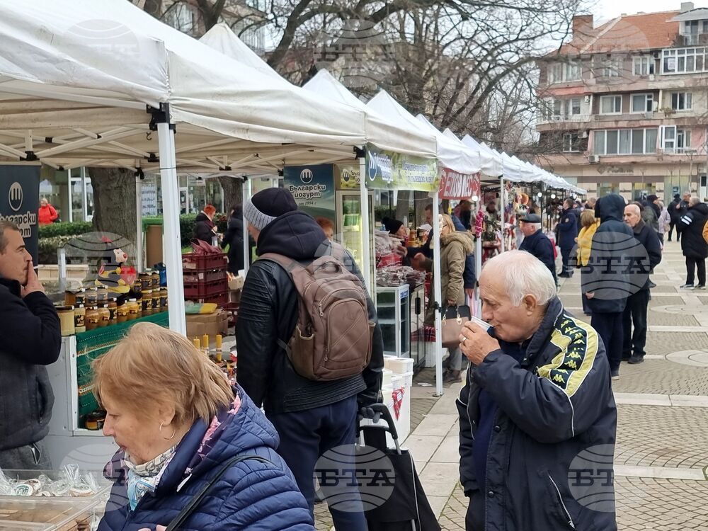 Ямбол - Коледно изложение