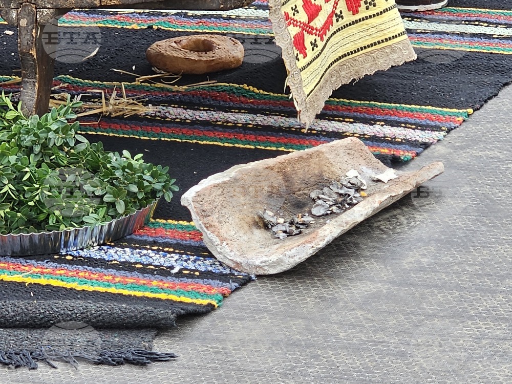 Русе - Коледуване