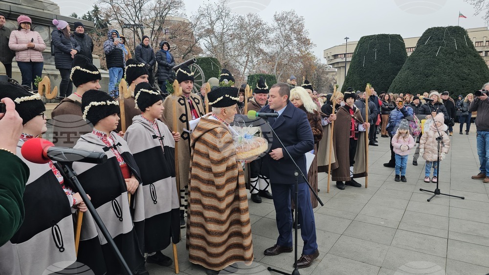 Русе - Коледуване