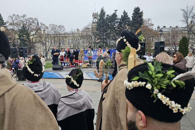 Русе - Коледуване