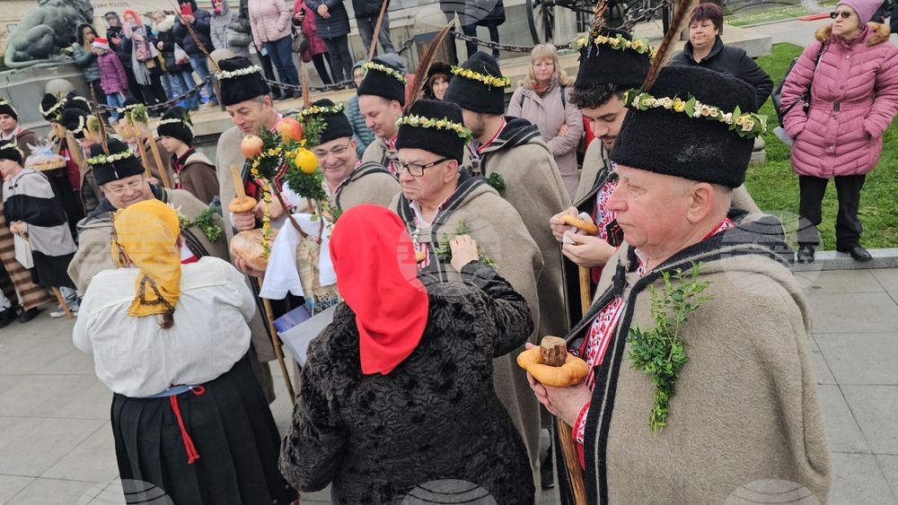 Русе - Коледуване