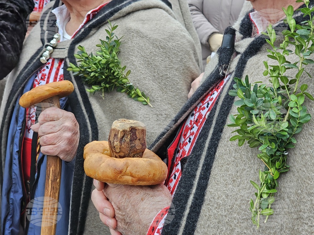 Русе - Коледуване
