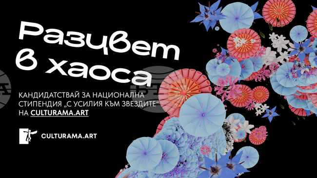 До 25 декември се приемат кандидатури за Национална стипендия „С усилия към звездите“