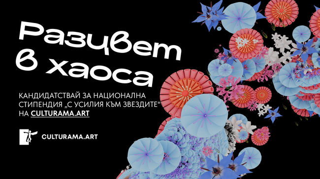 До 25 декември се приемат кандидатури за Национална стипендия „С усилия към звездите“