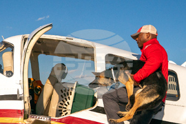 Pet Rescue Flights