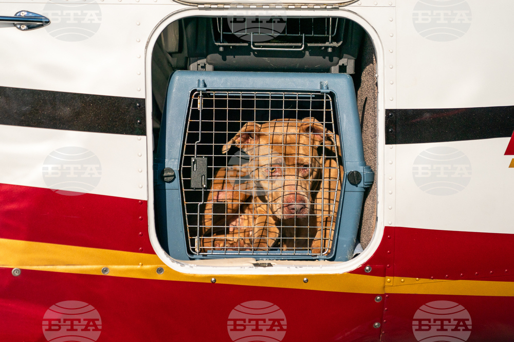 Pet Rescue Flights