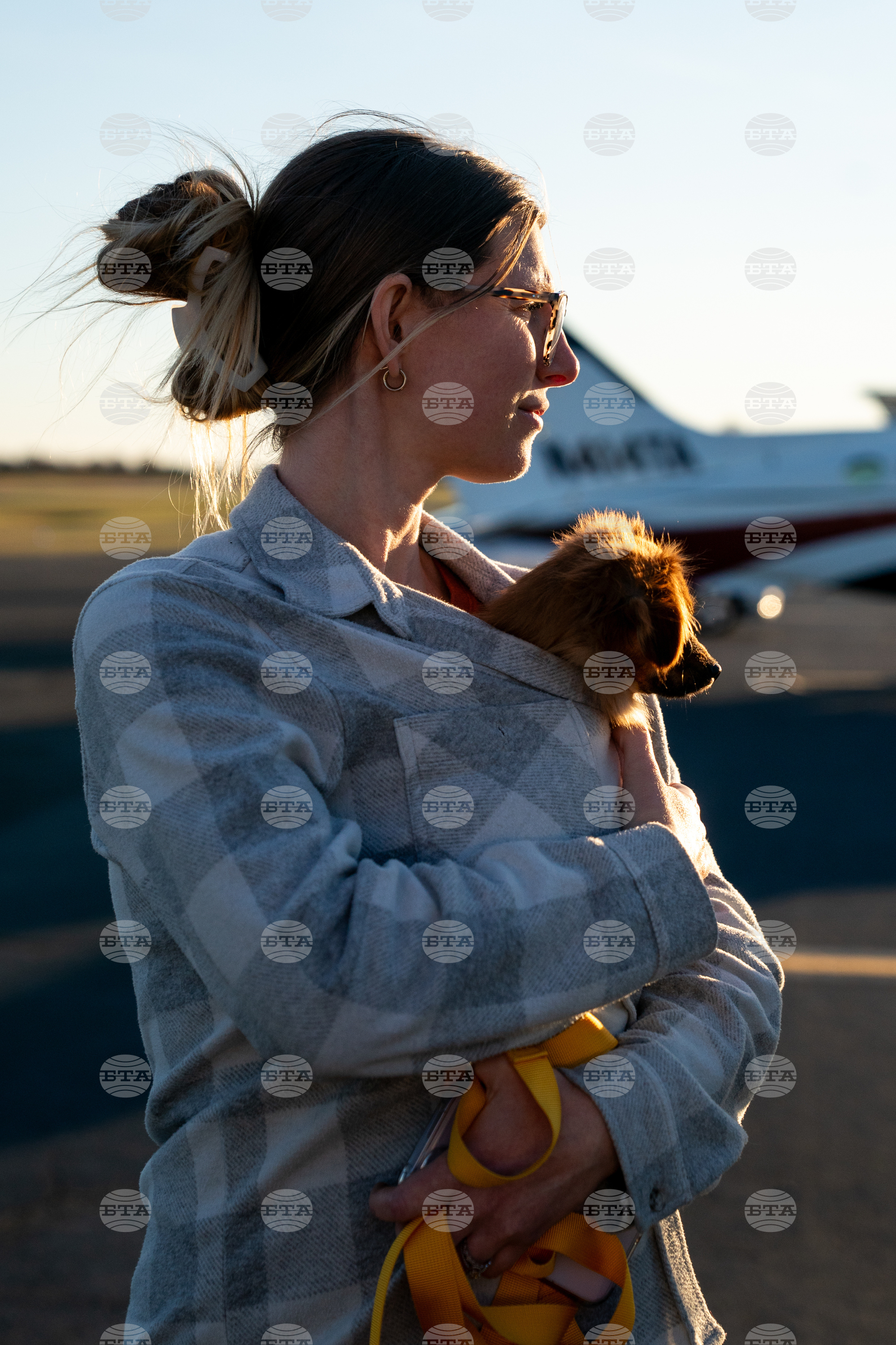 Pet Rescue Flights