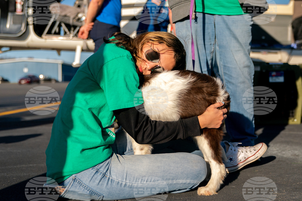 Pet Rescue Flights