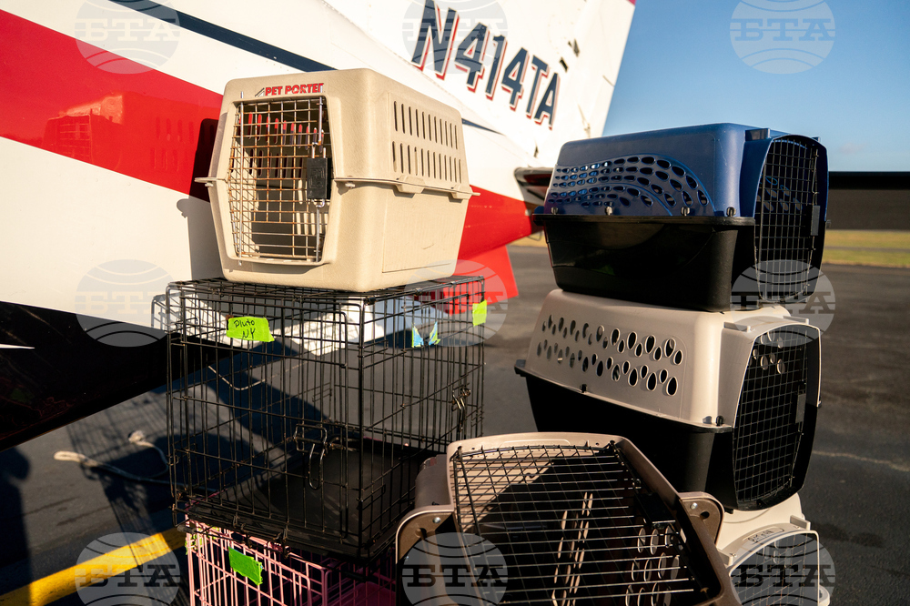 Pet Rescue Flights