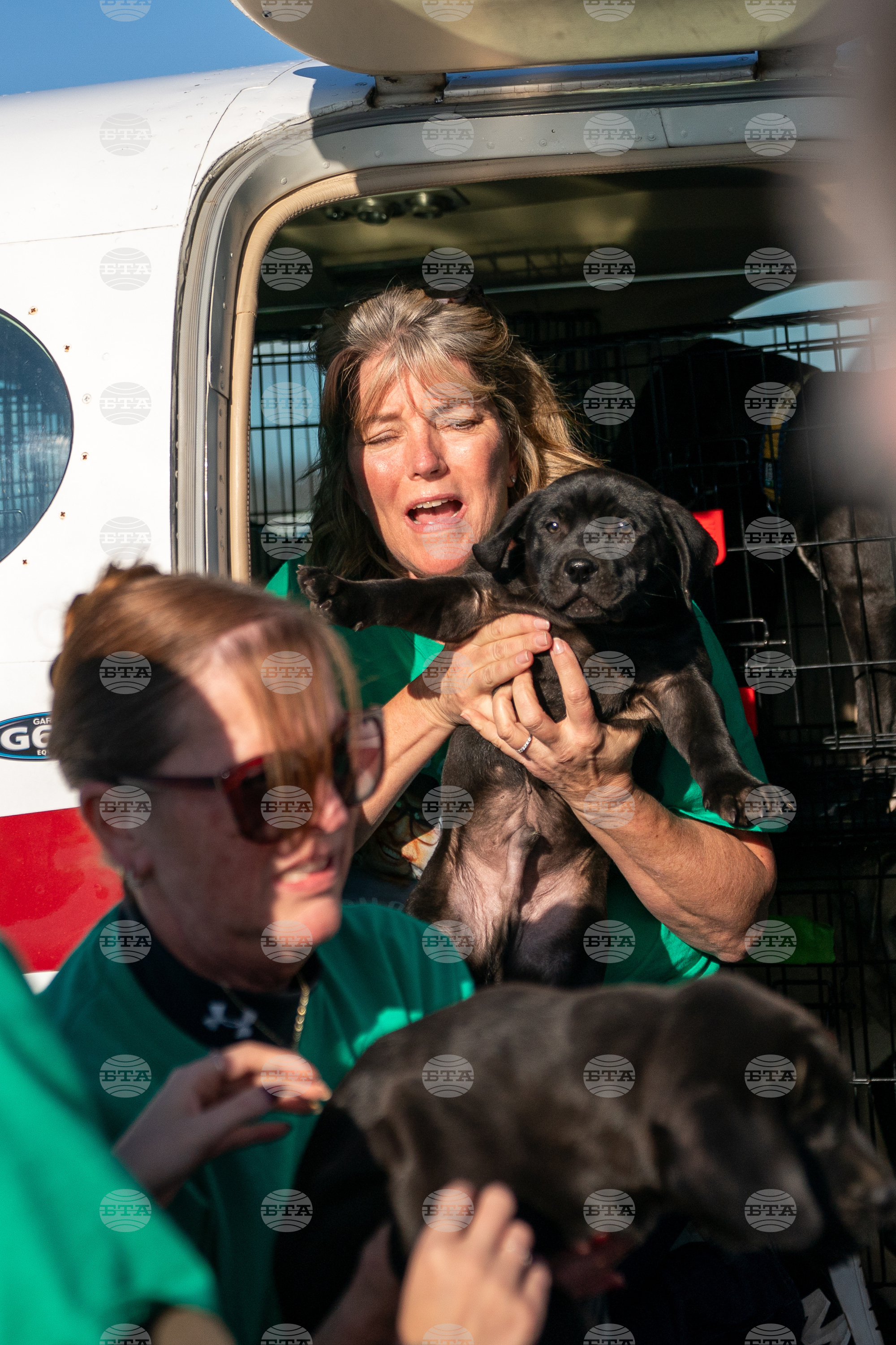 Pet Rescue Flights