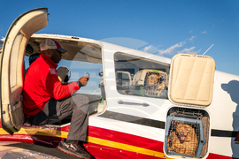 Pet Rescue Flights