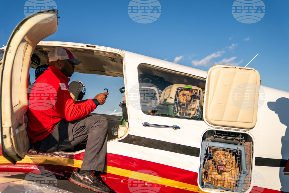 Pet Rescue Flights