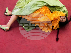 Bolivia Pollera Skirt