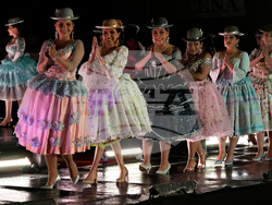 Bolivia Pollera Skirt