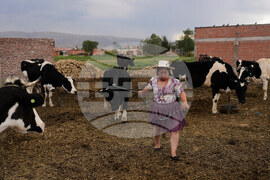 Bolivia Pollera Skirt