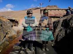 Bolivia Pollera Skirt