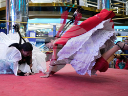 Bolivia Pollera Skirt