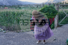 Bolivia Pollera Skirt