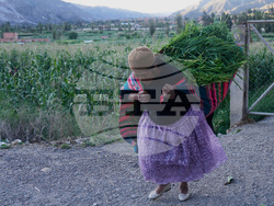 Bolivia Pollera Skirt