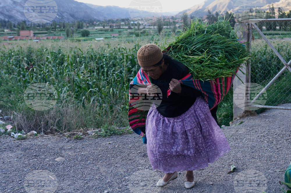 Bolivia Pollera Skirt