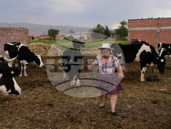 Bolivia Pollera Skirt