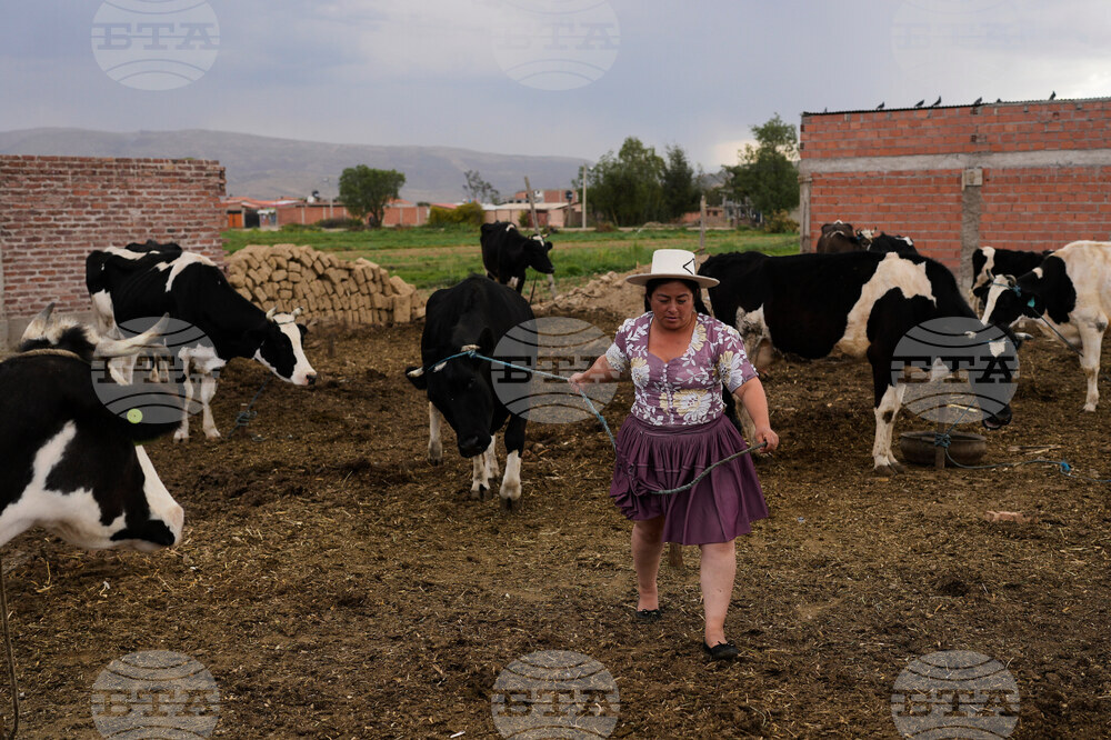 Bolivia Pollera Skirt