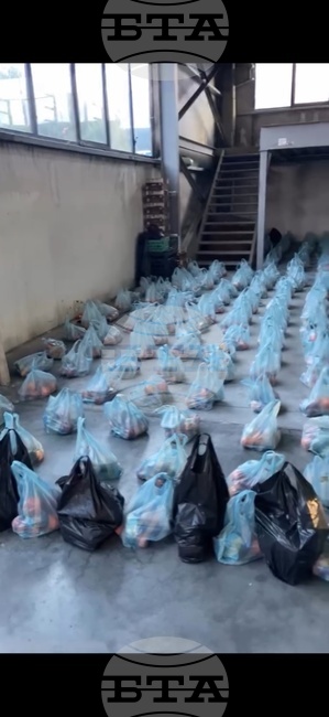 В навечерието на Рождество Христово над 800 семейства в Петрич ще получат празнични пакети с хранителни продукти