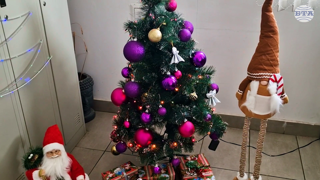 Това ще е първата истинска Коледа, която празнувам, сподели Николина от приюта за бездомни в Пазарджик, където 25 души ще посрещнат празниците