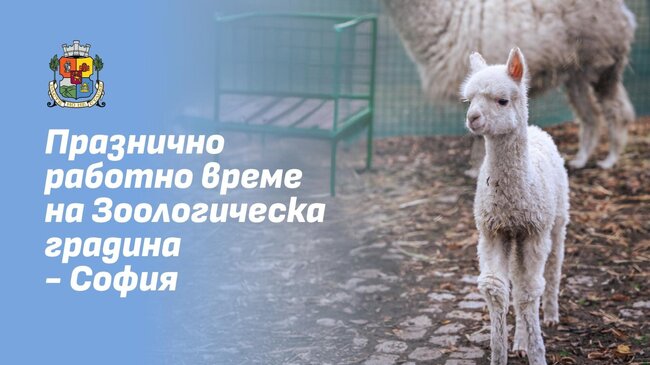 СО: Зоологическа градина - София временно няма да посреща посетители от 1 до 4 януари 2026 г.