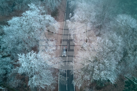 CORRECTION Germany Weather