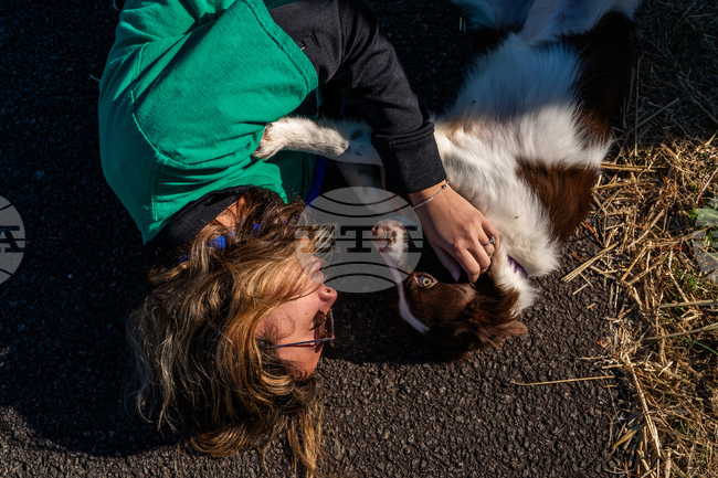 APTOPIX Pet Rescue Flights