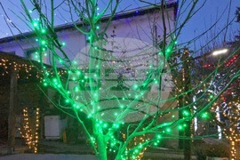 Разлог - коледна украса