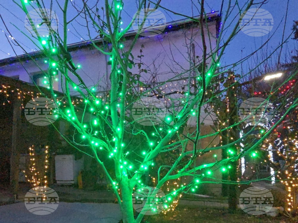 Разлог - коледна украса